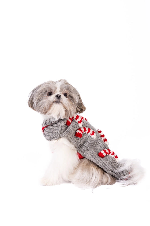 Zuckerstangen Hundepullover