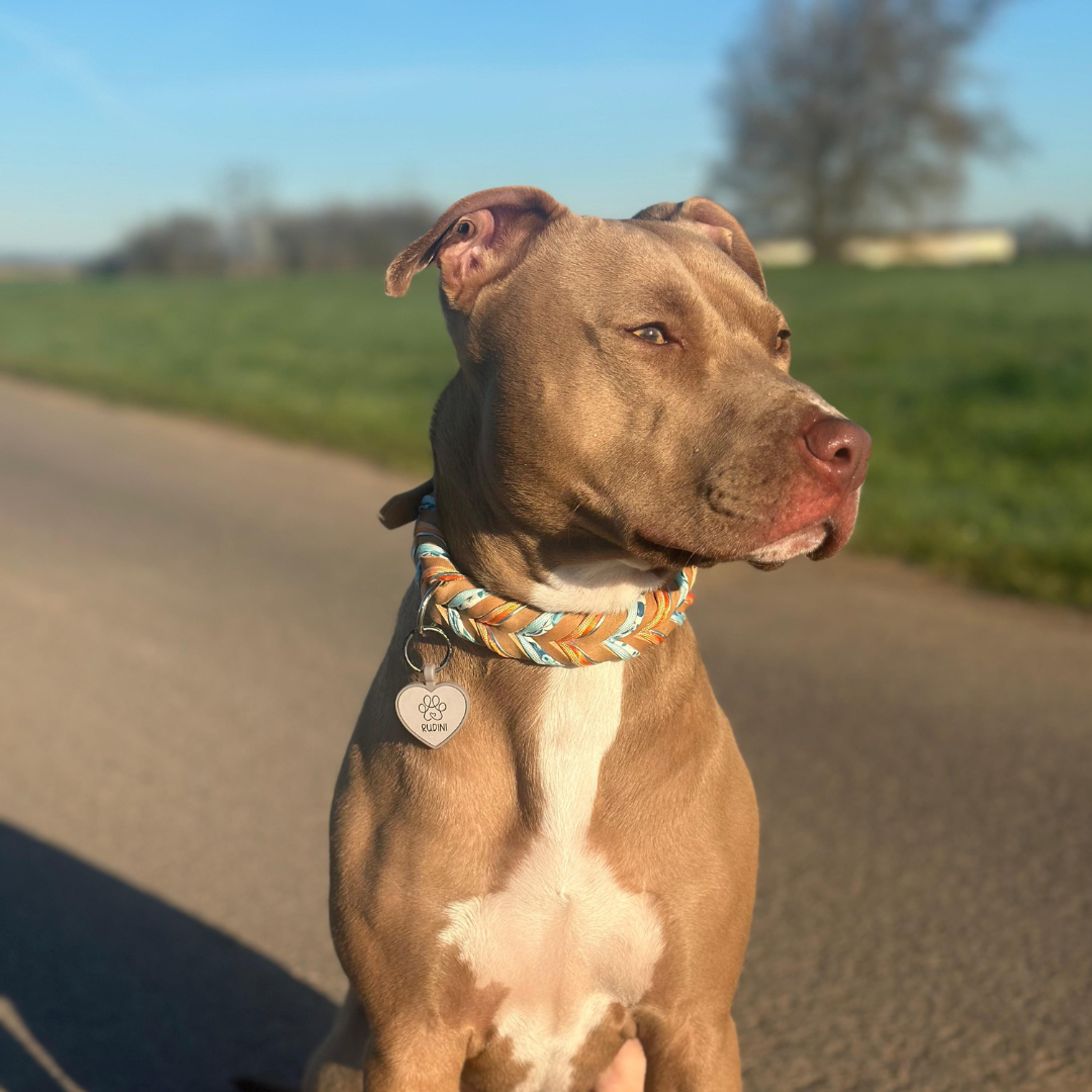 silikon hundemarke heart