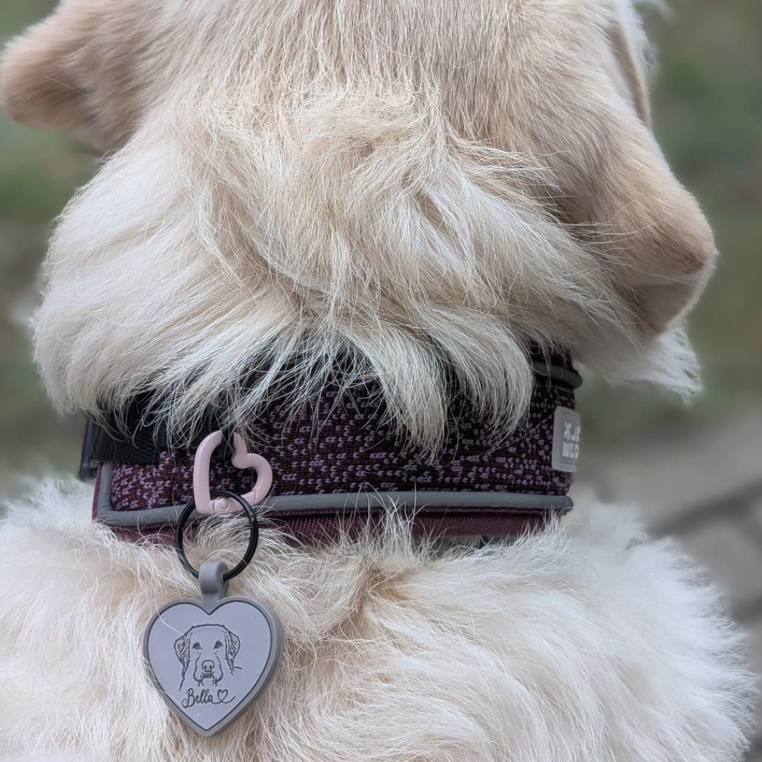 silikon hundemarke heart