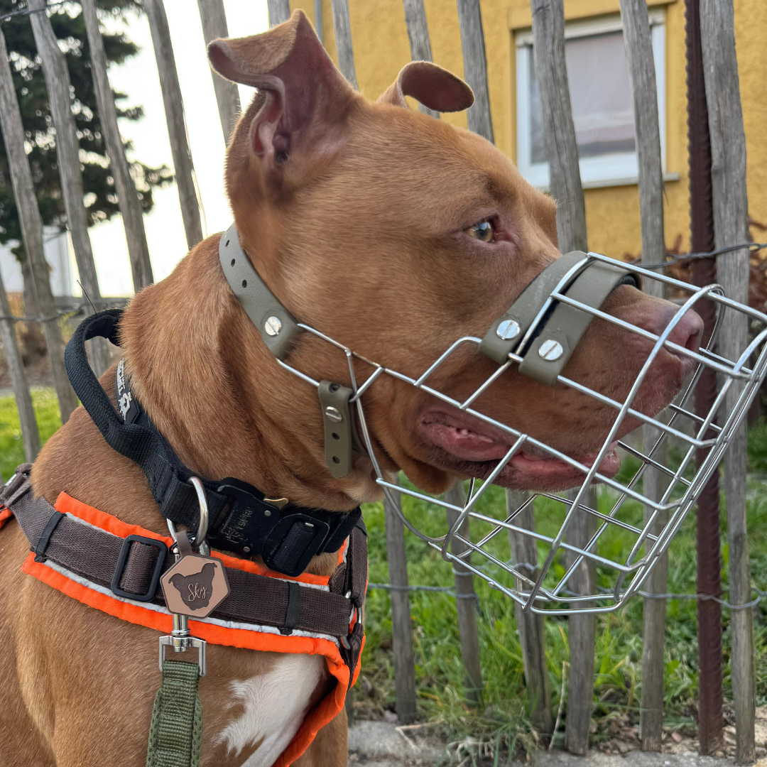 silikon hundemarke hexagon fall/winter
