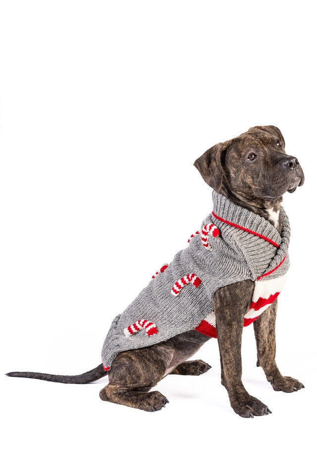 Zuckerstangen Hundepullover